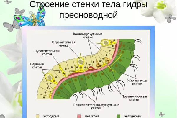 Сайт кракен через тор