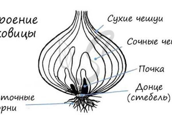 Кракен нар