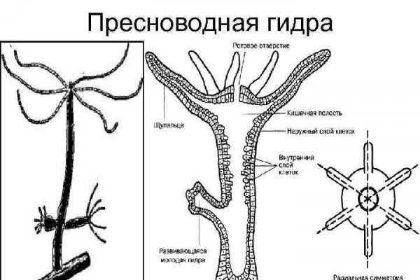 Сайт кракен через тор