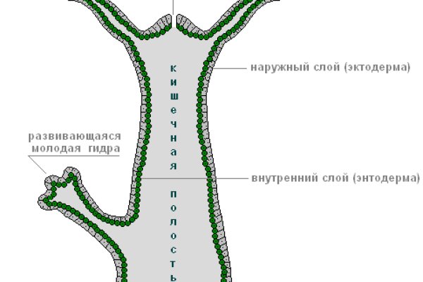 Кракен маркет что это такое